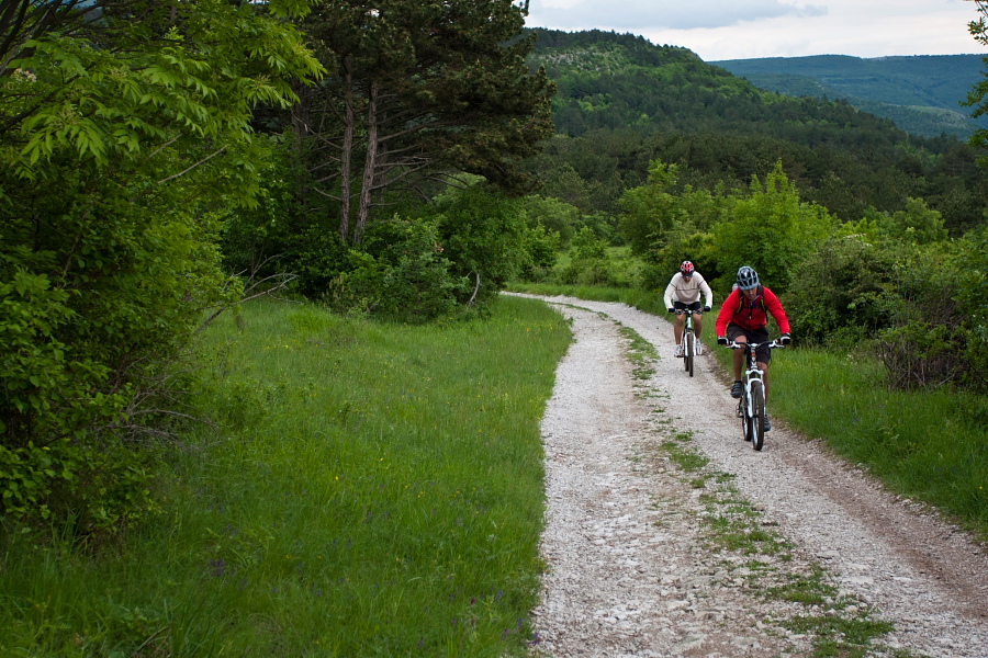 Uphill from Podpeč towards Črnotiče