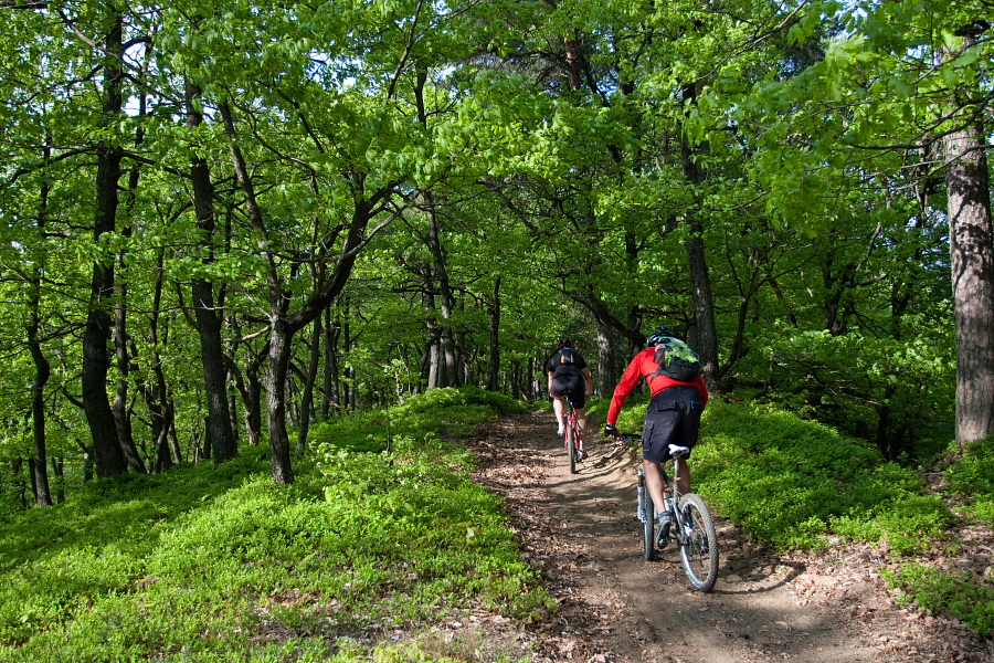 Nice descent towards Pungert village