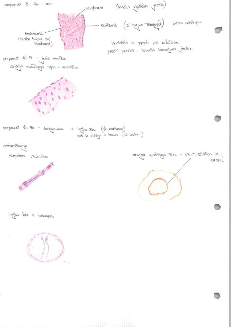 Predogled strani 2