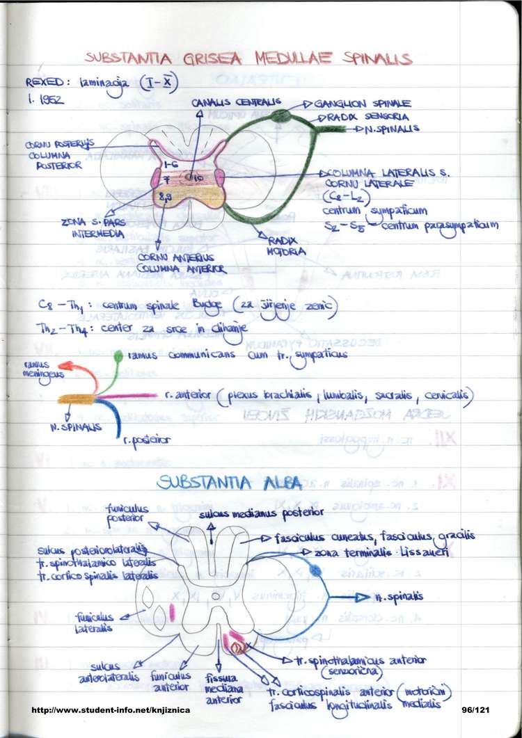 Predogled strani 96