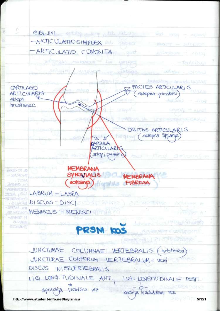 Predogled strani 5