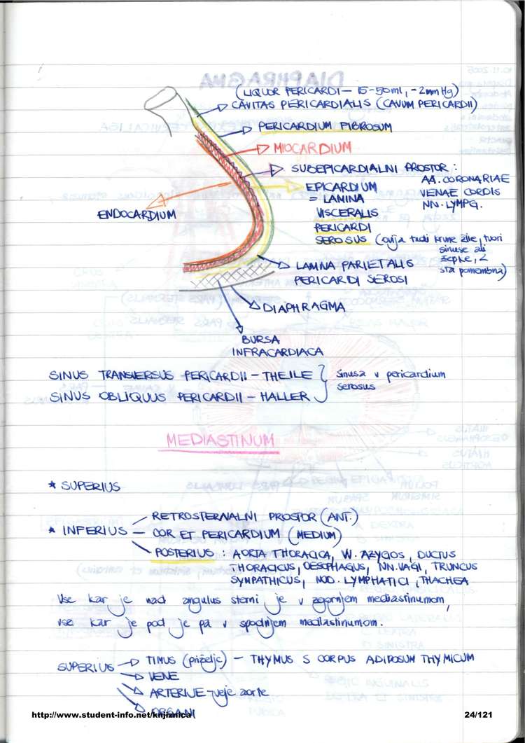 Predogled strani 24