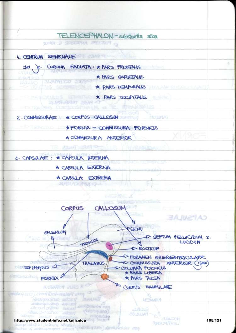 Predogled strani 108