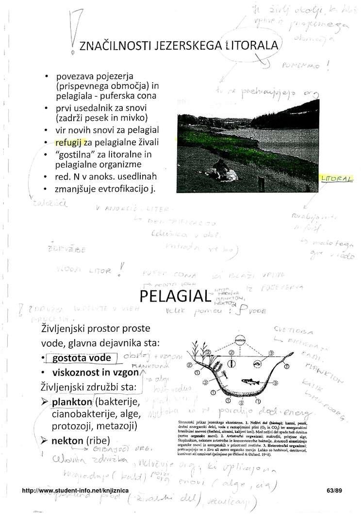 Predogled strani 63