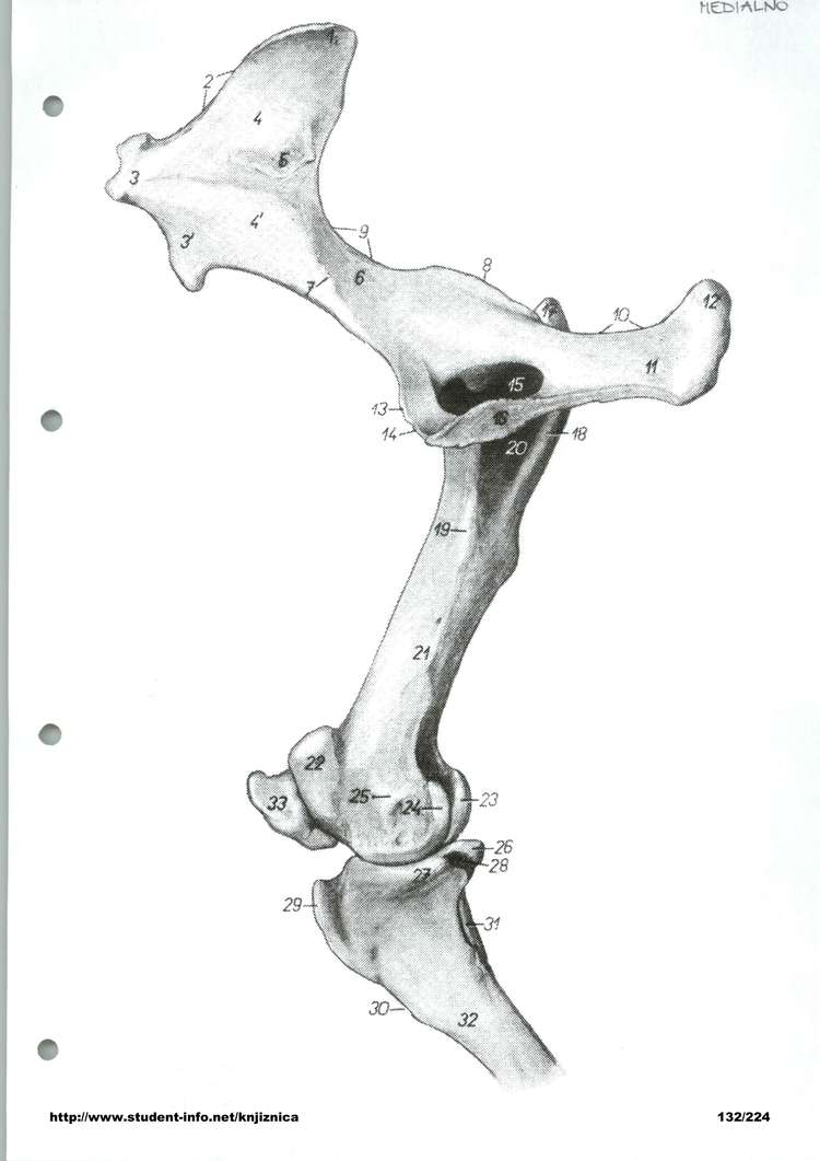 Predogled strani 132