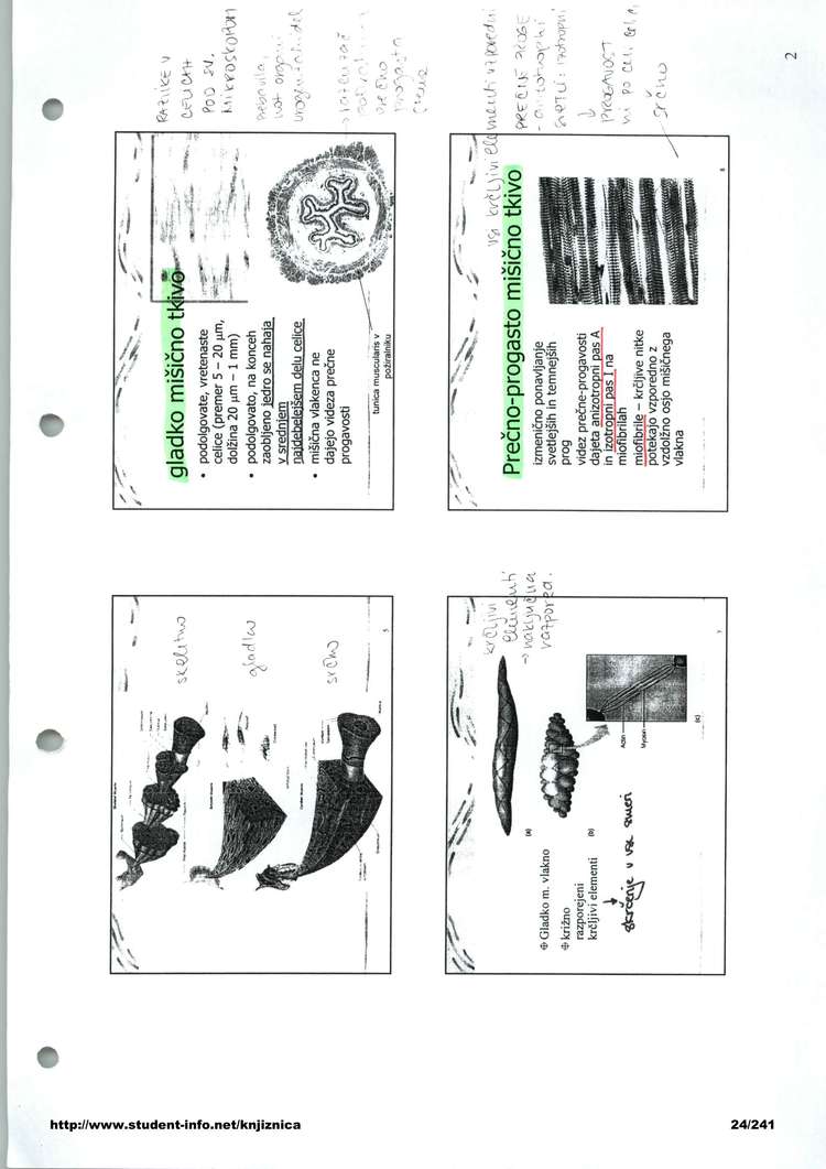 Predogled strani 24