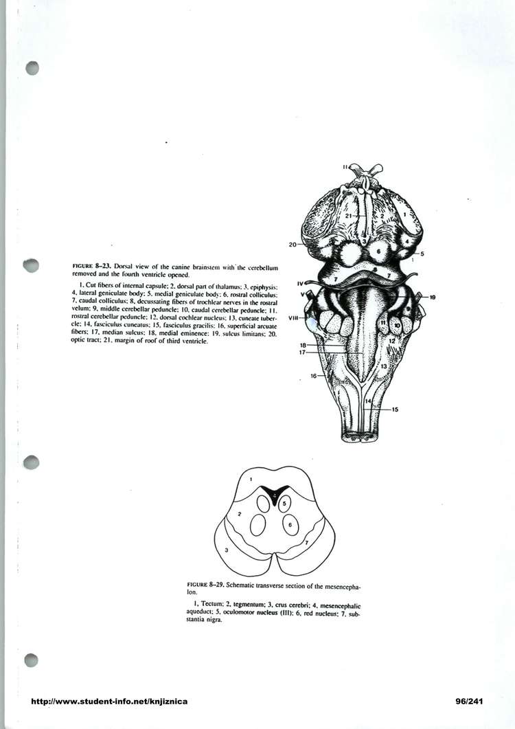 Predogled strani 96