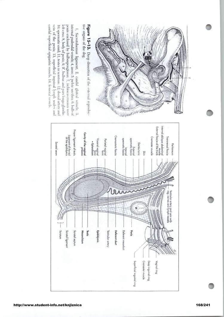 Predogled strani 168