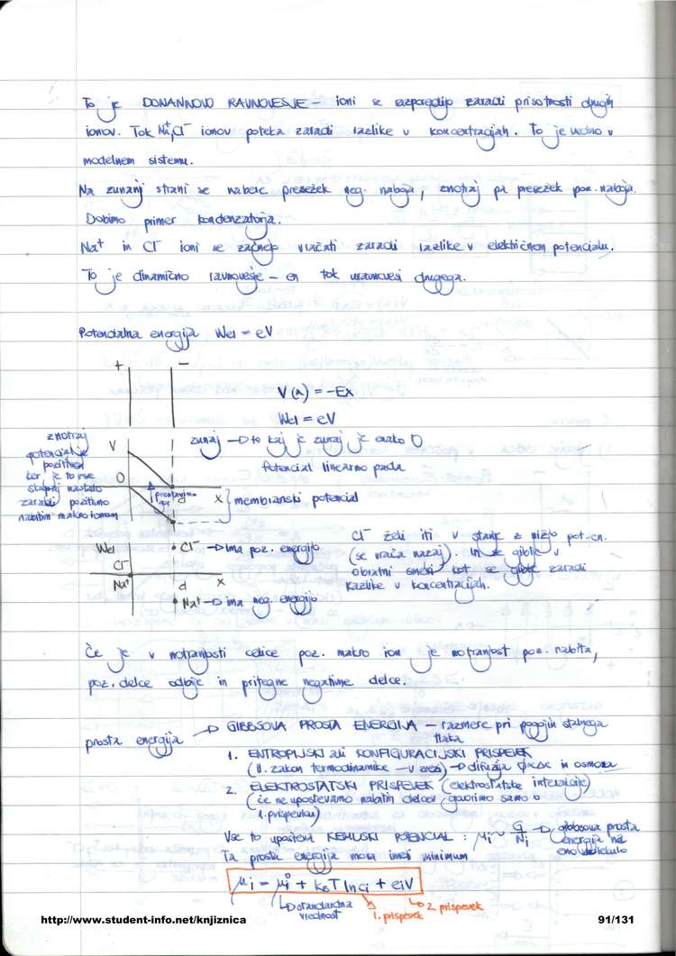 Predogled strani 91