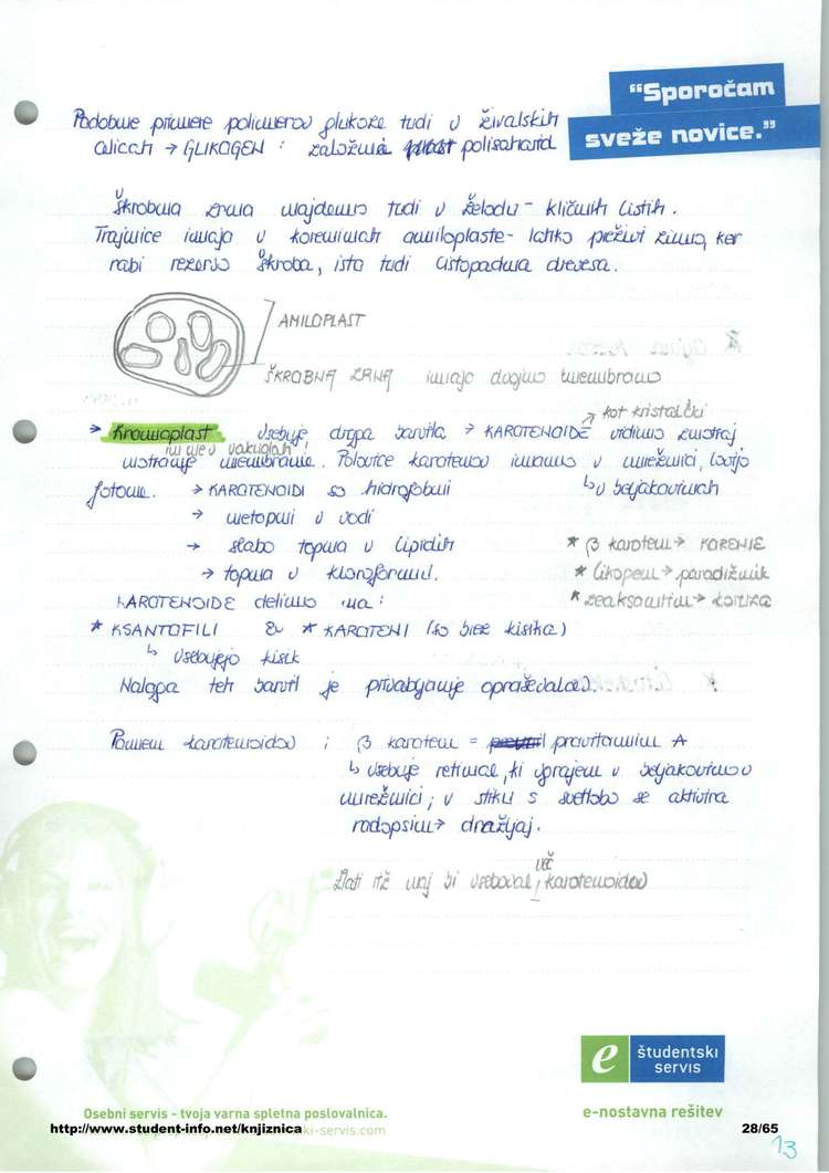 Predogled strani 28