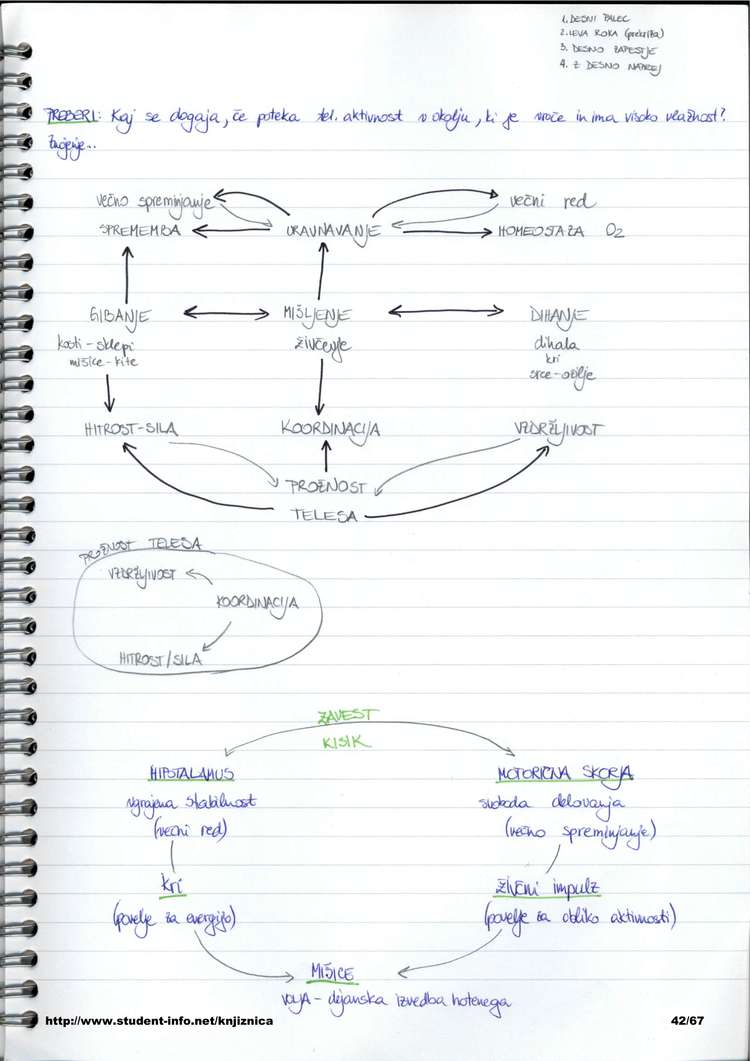 Predogled strani 42