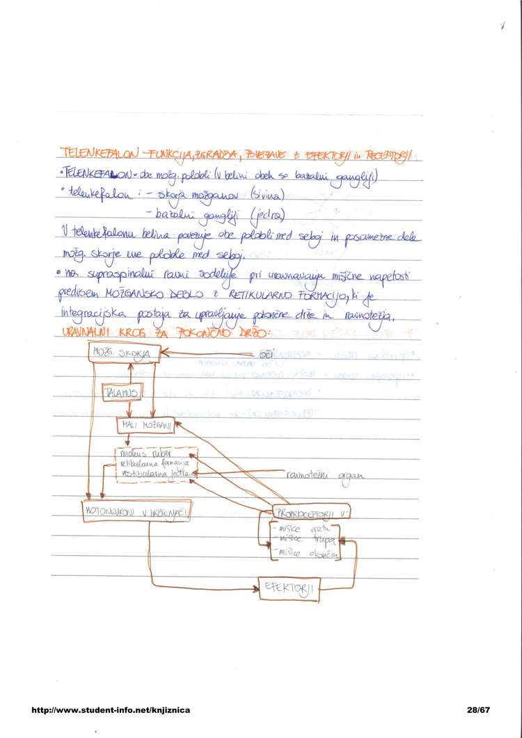 Predogled strani 28