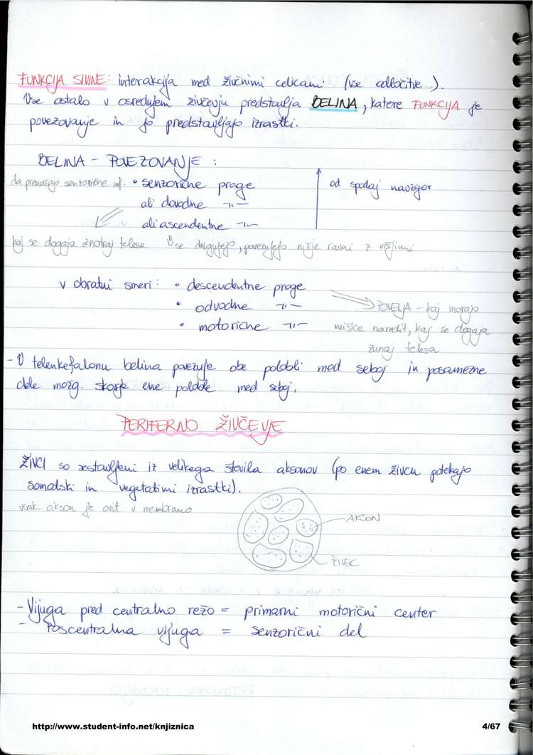 Predogled strani 4