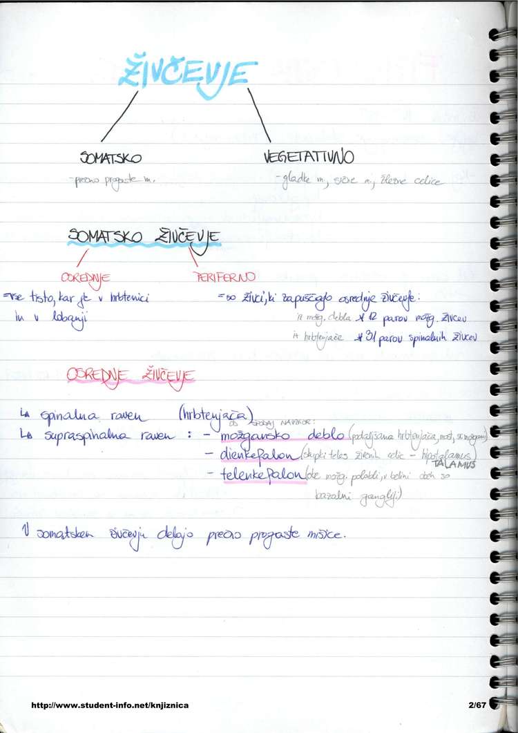Predogled strani 2
