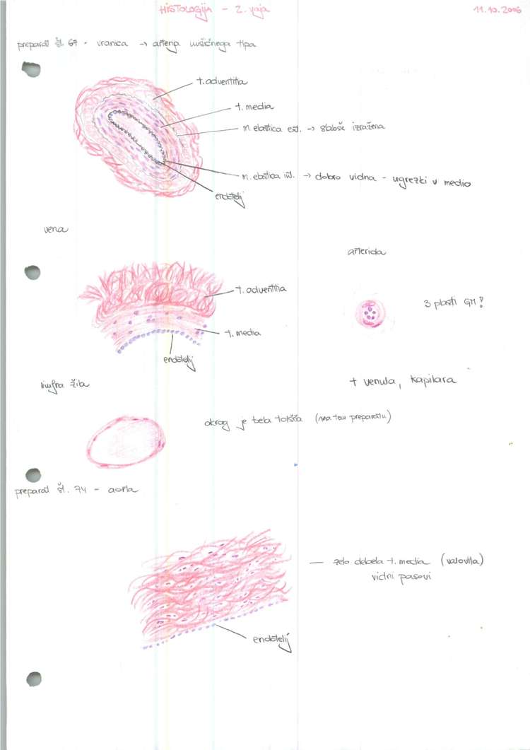 Predogled strani 1