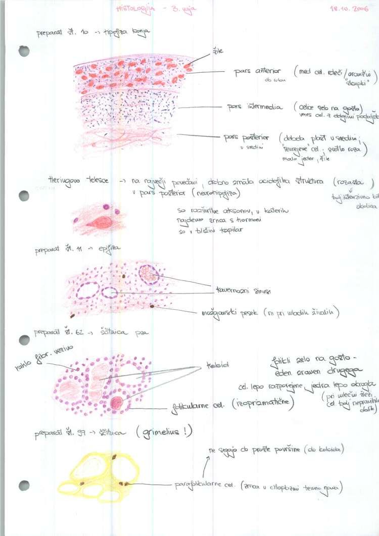 Predogled strani 3
