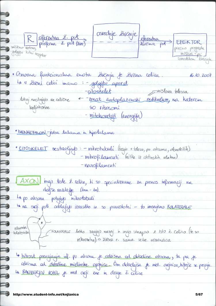 Predogled strani 5