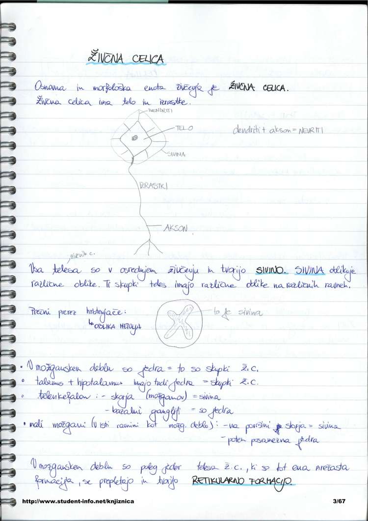 Predogled strani 3