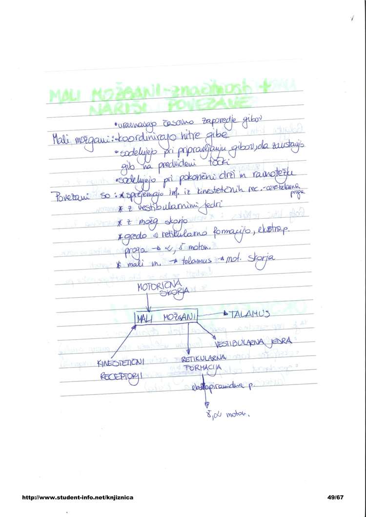 Predogled strani 49