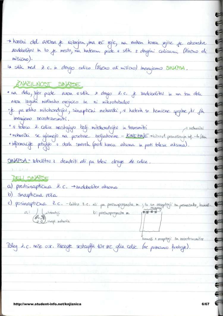 Predogled strani 6