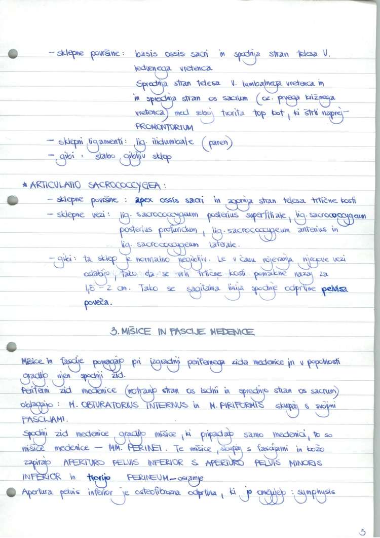 Predogled strani 4
