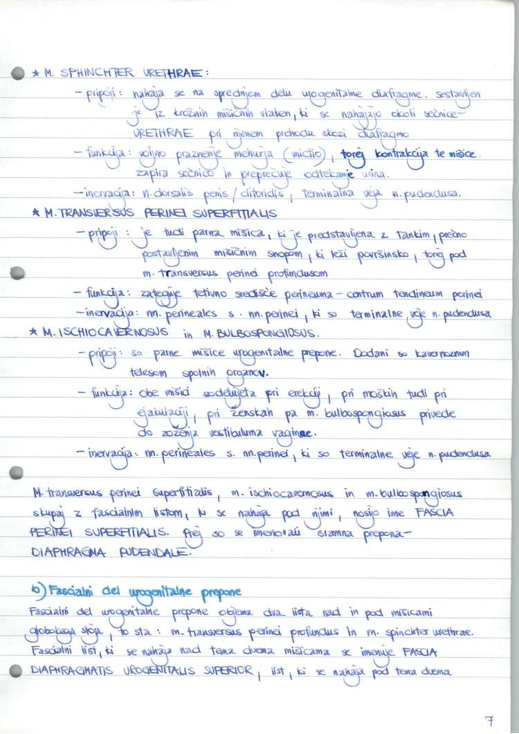 Predogled strani 8