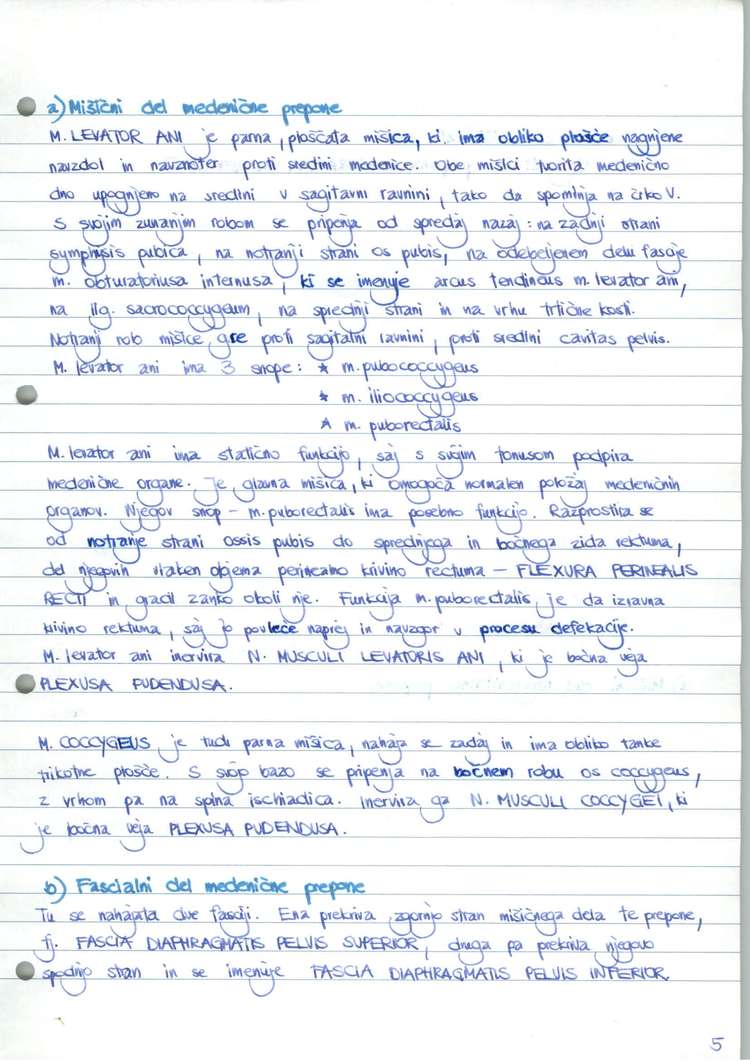 Predogled strani 6