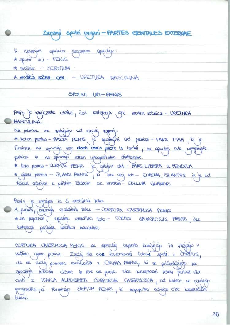 Predogled strani 40