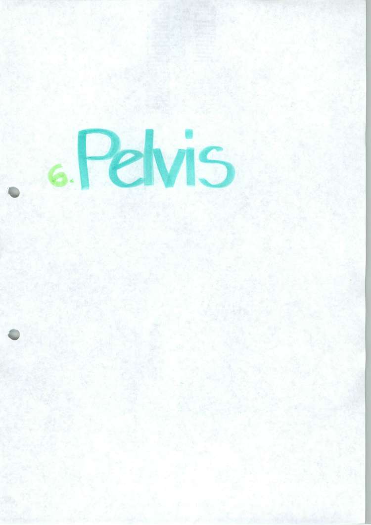 Predogled strani 1