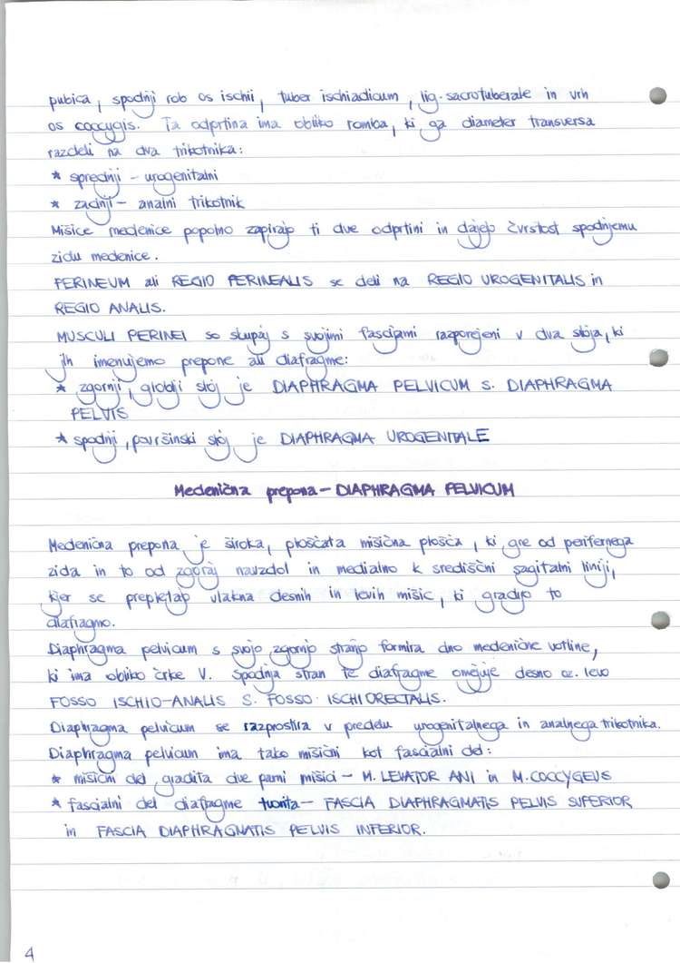 Predogled strani 5