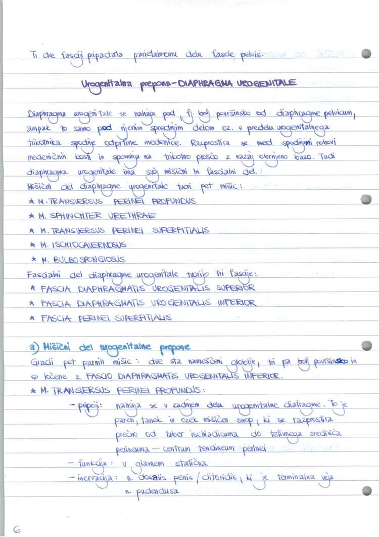 Predogled strani 7