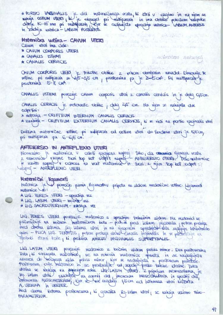 Predogled strani 48