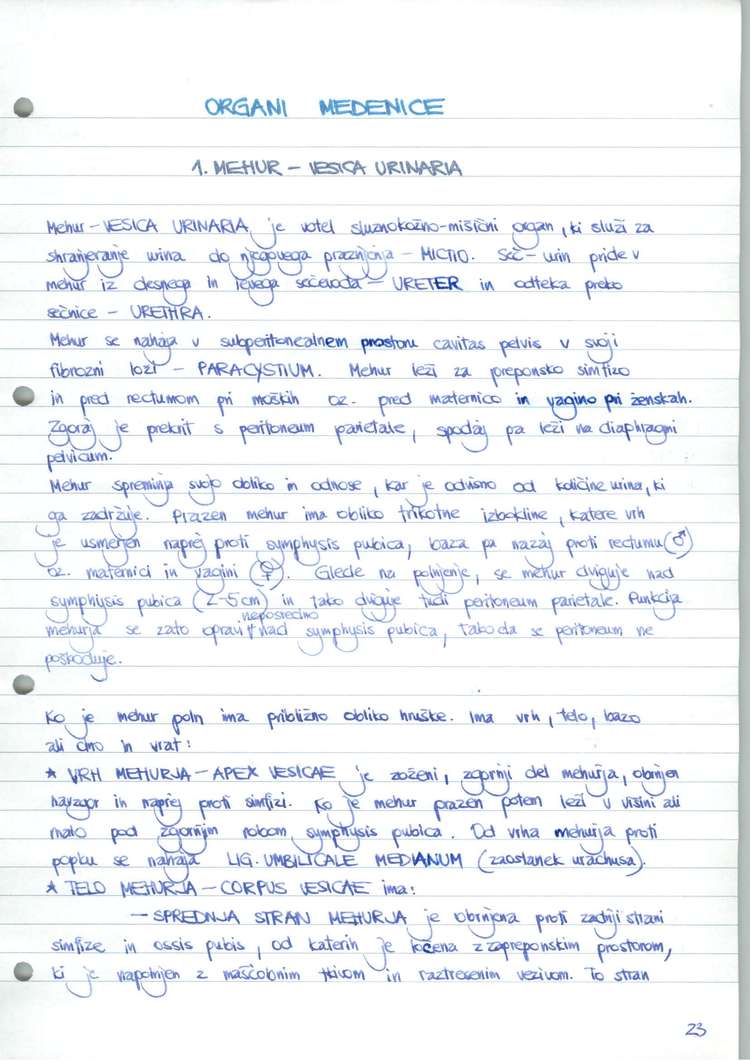 Predogled strani 24