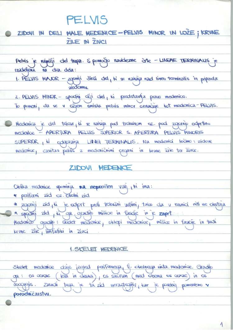 Predogled strani 2