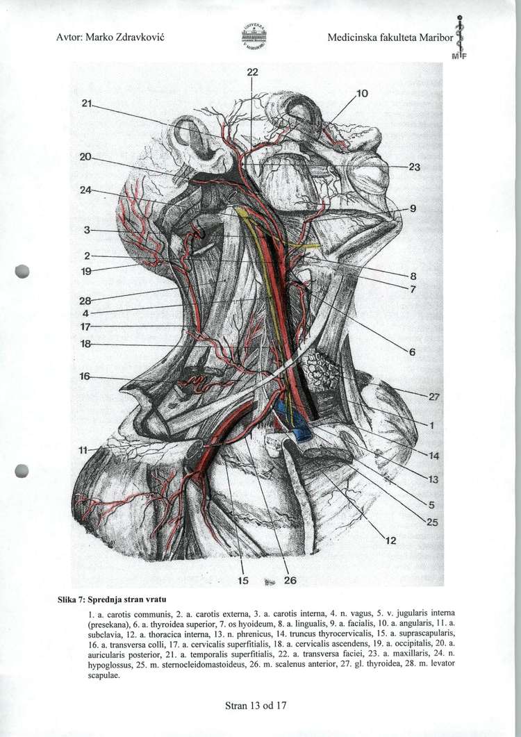 Predogled strani 72