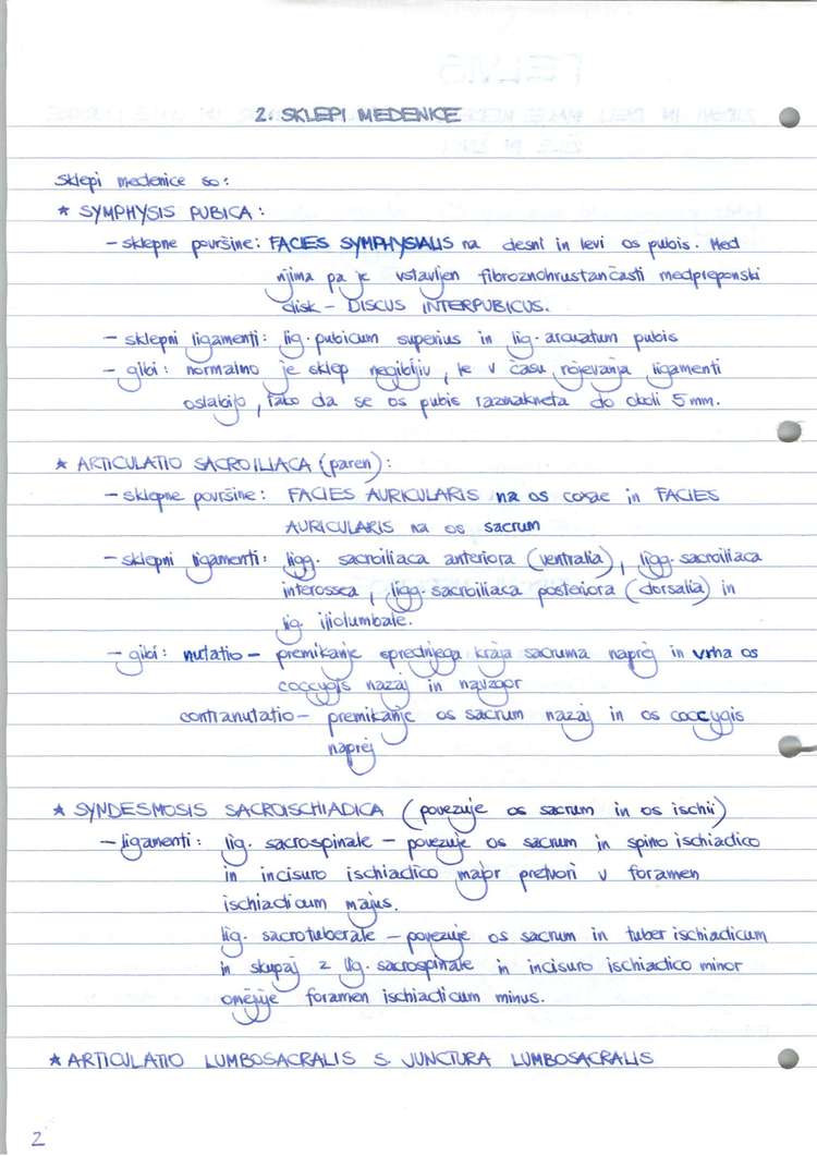 Predogled strani 3