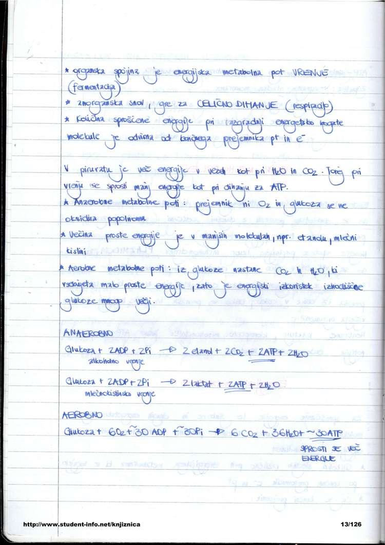 Predogled strani 13