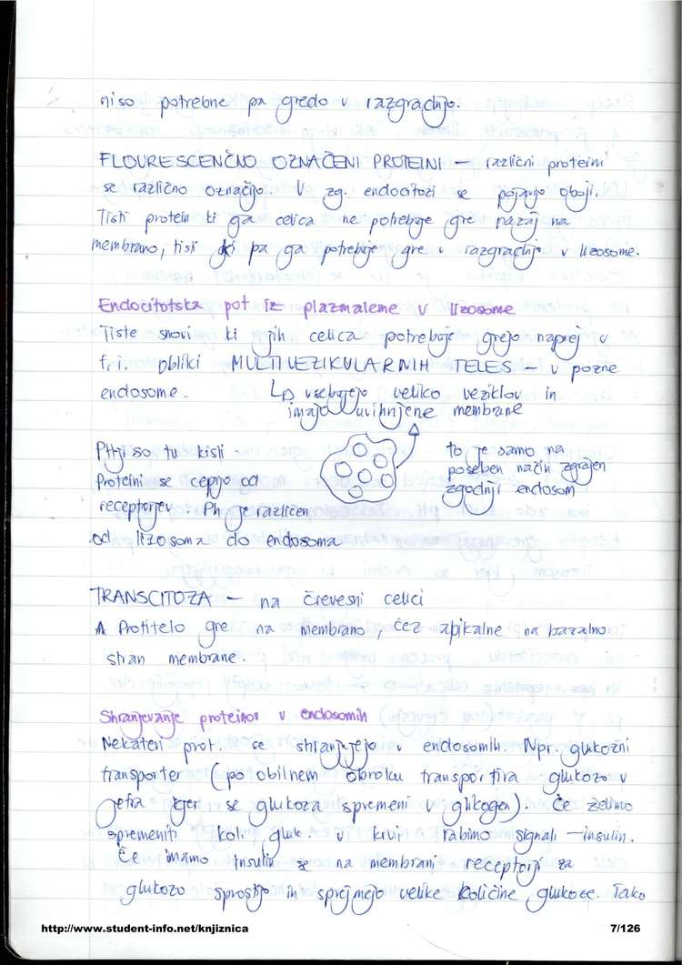 Predogled strani 7