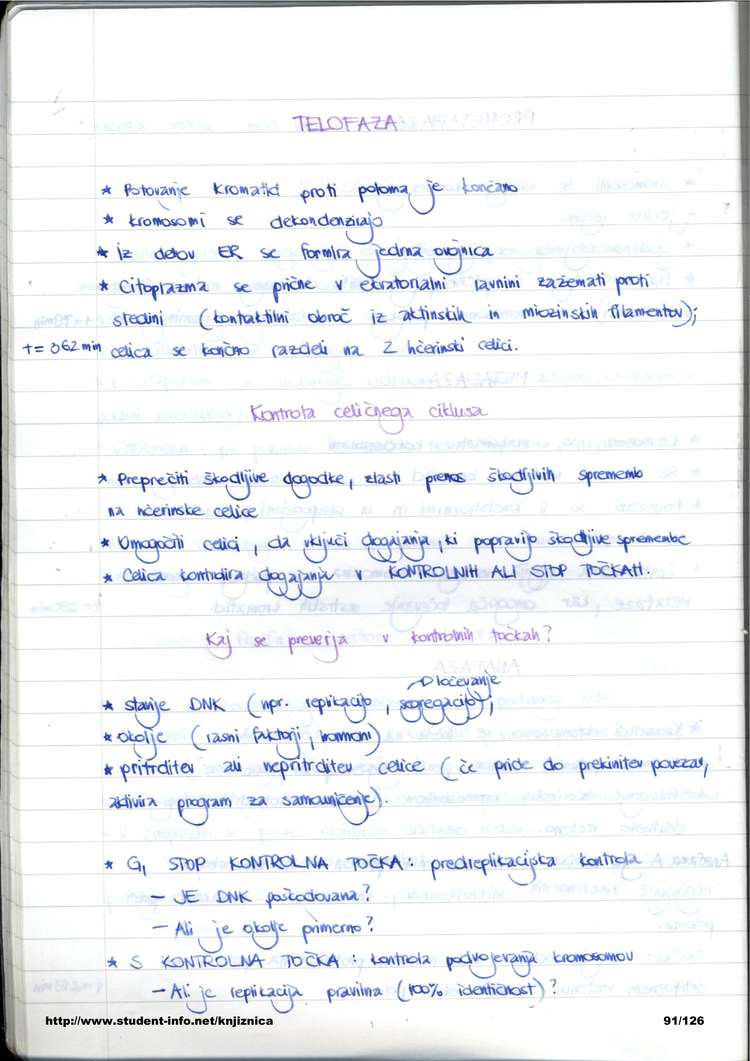 Predogled strani 91