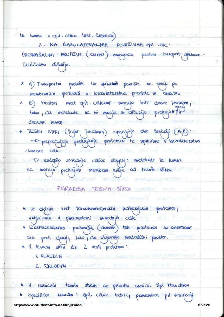 Predogled strani 65