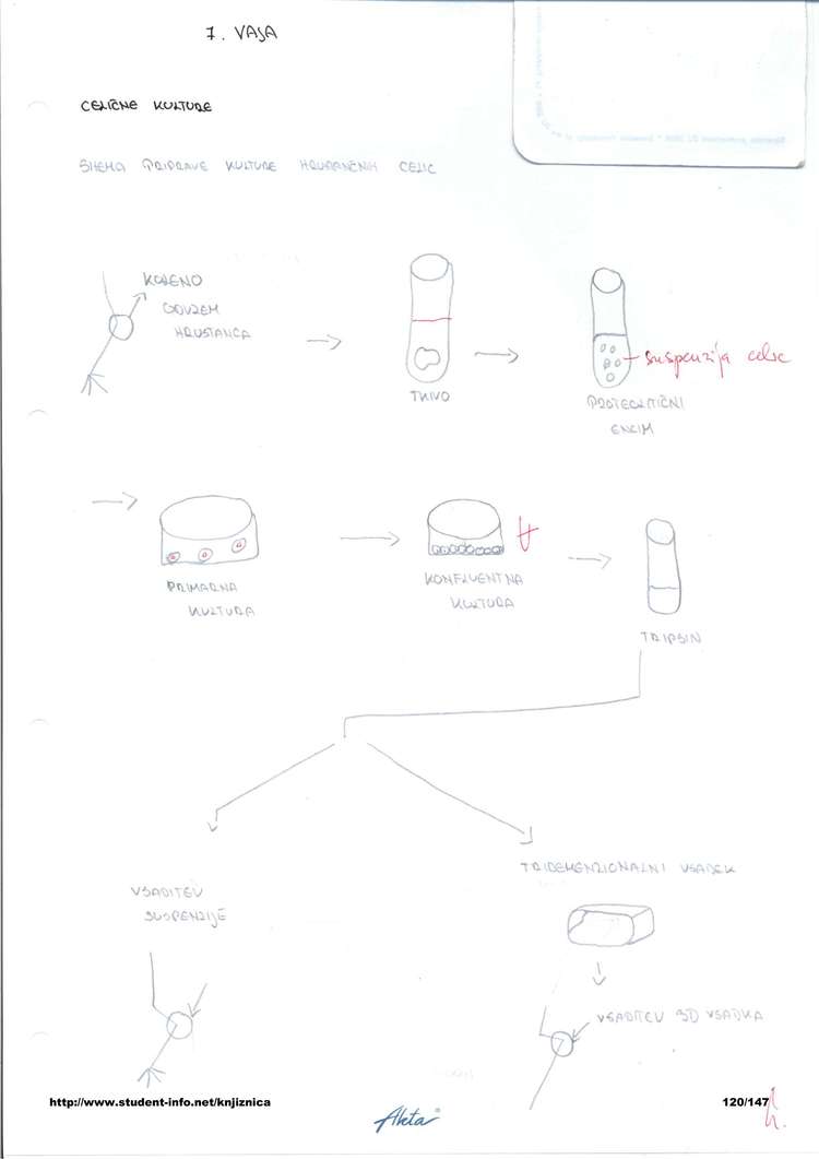 Predogled strani 120