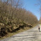 Ascent towards Vipavska Brda hills
