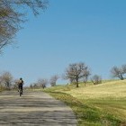 Ascent towards Vipavska Brda hills