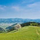 Nad Žirovsko kotlino