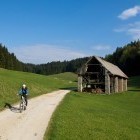 Lepa pot od vrha Sv. Treh Kraljev proti Goropekam