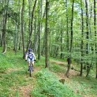 Gozdiček