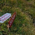 Črna prst - Smerokaz
