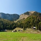 Planina za Črno goro pod Črno prstjo