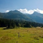 Črna prst - Na travnikih nad Bohinjsko Bistrico