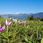 Črna prst - Začetek poti v Ravenskih rovtih